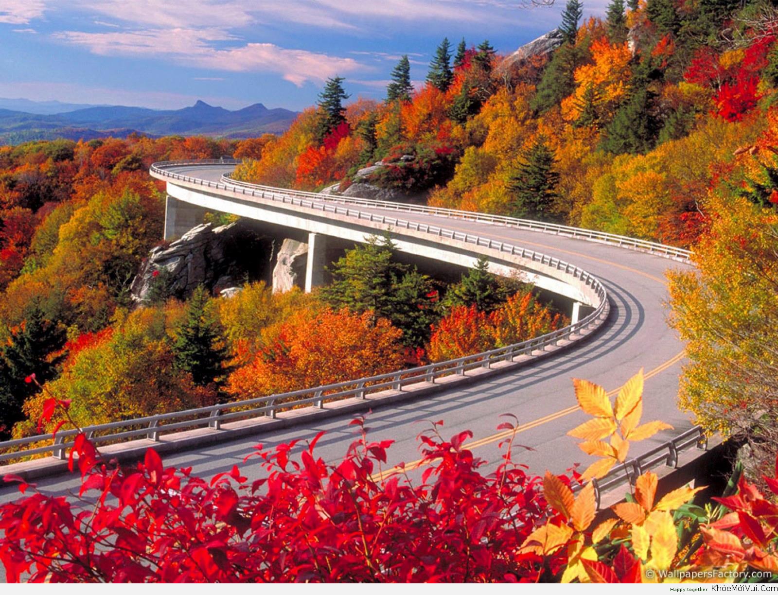 Cover image for Tân Đông Dương