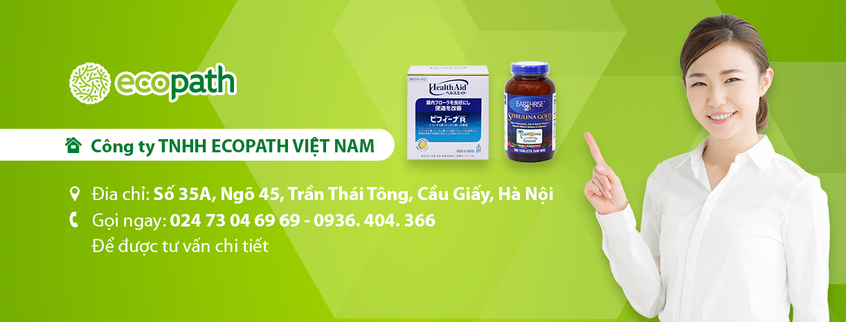 Cover image for Ecopath Việt Nam