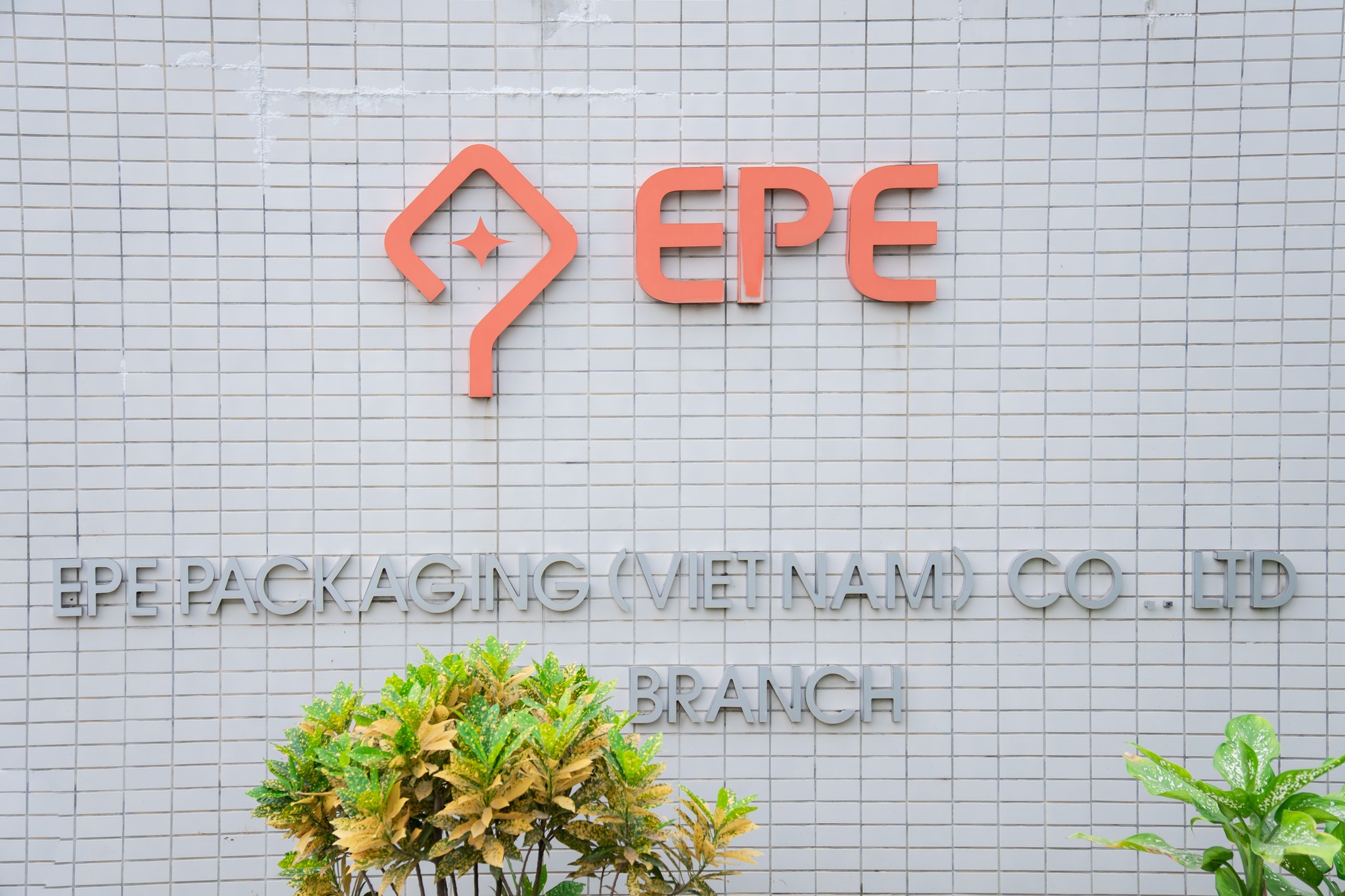 Cover image for Bao bì EPE