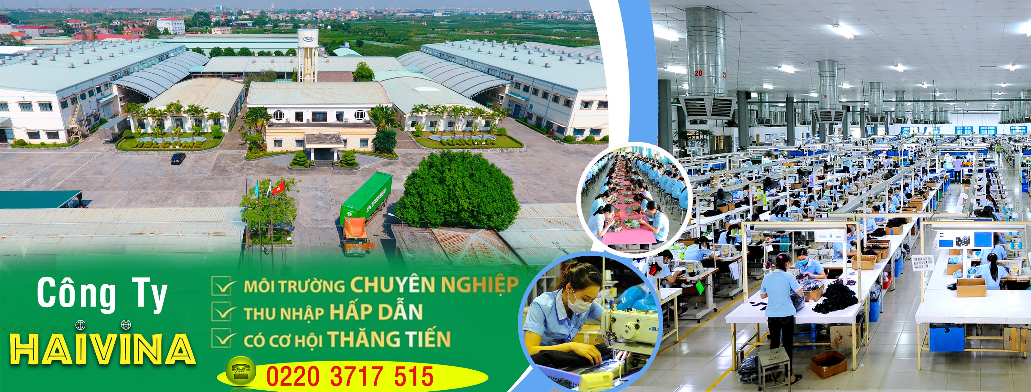 Cover image for Haivina