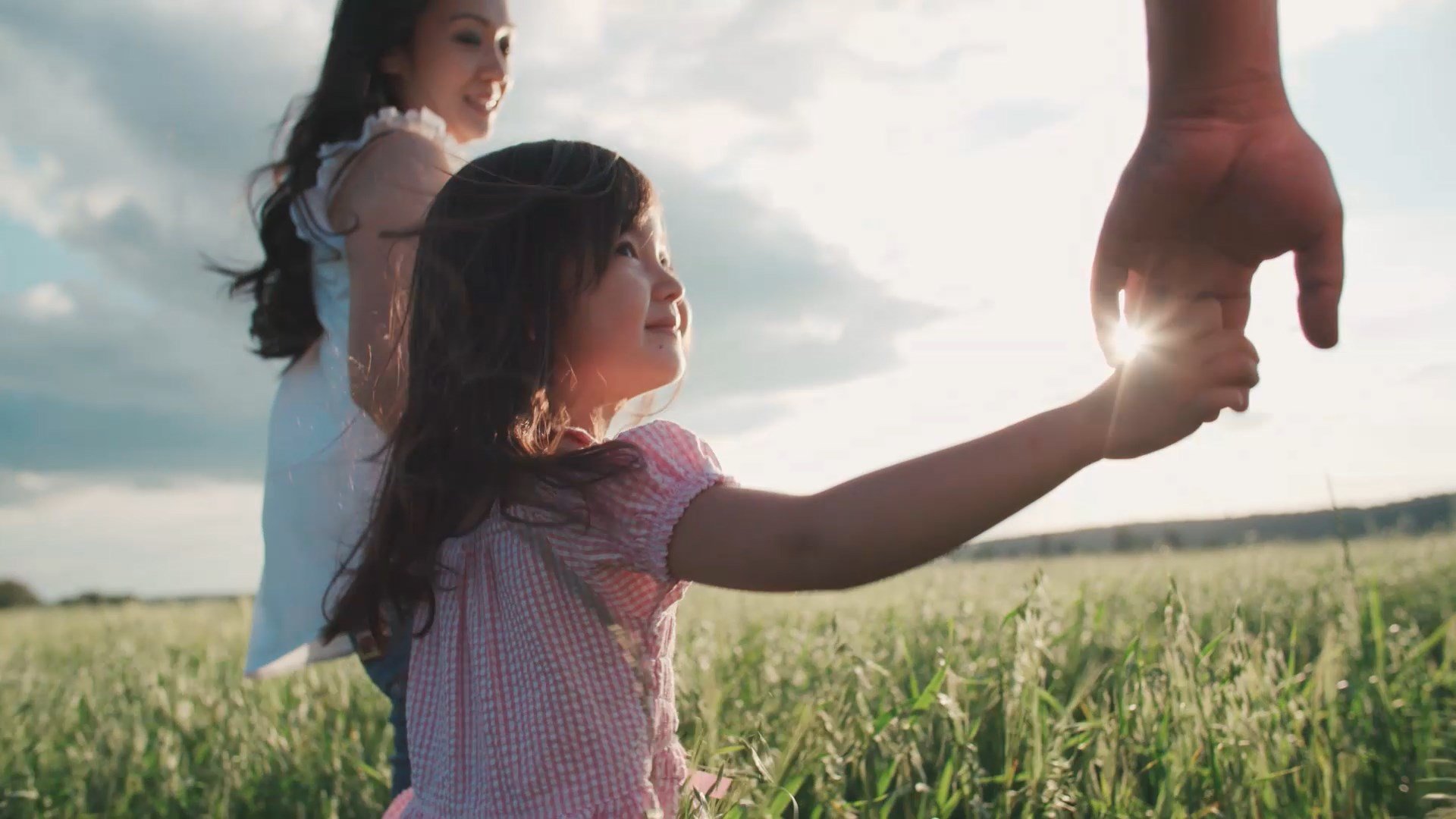 Cover image for Stellapharm