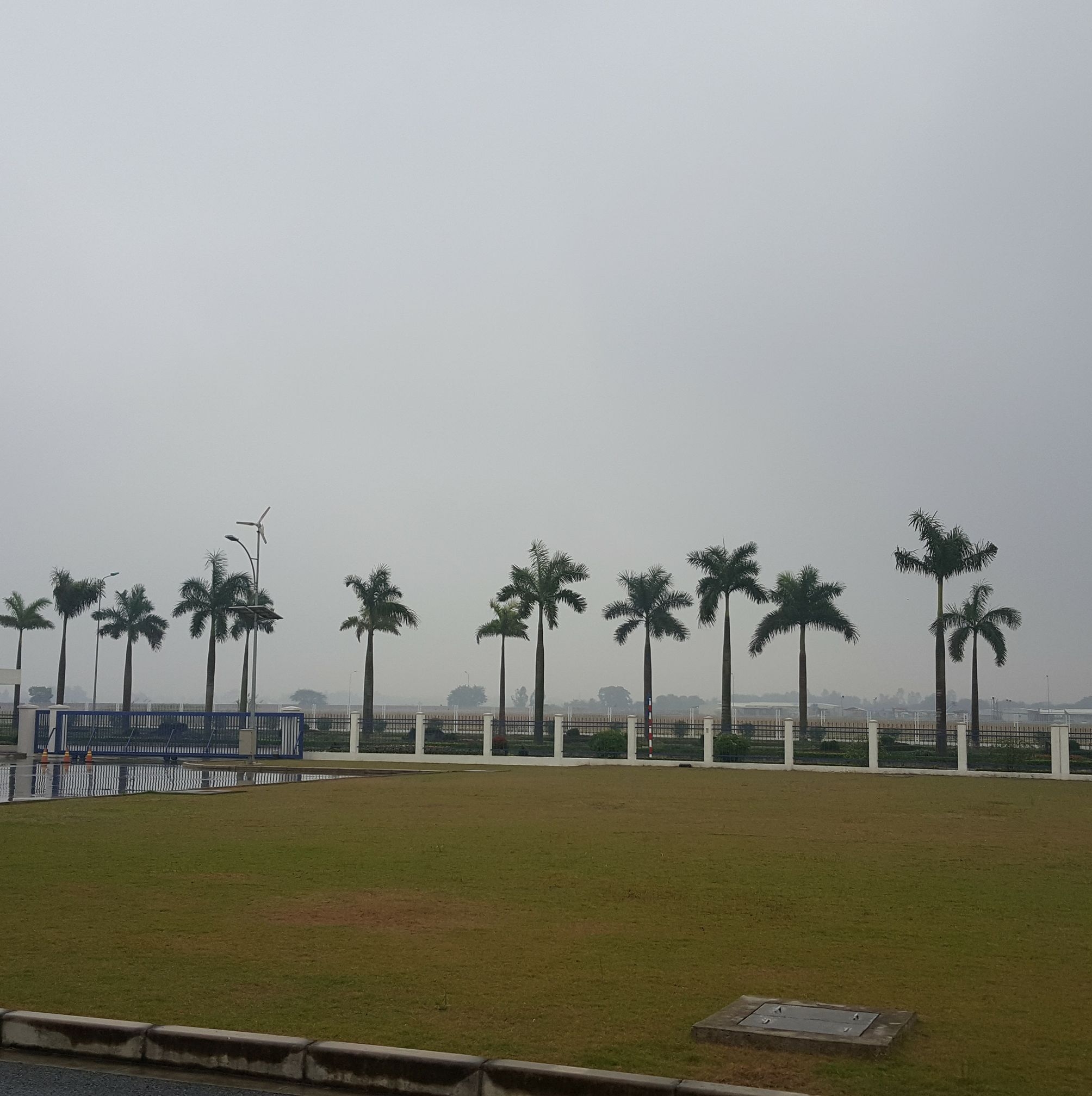 Cover image for Mitsuba Việt Nam