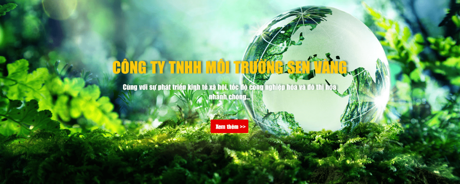 Cover image for Sen Vàng