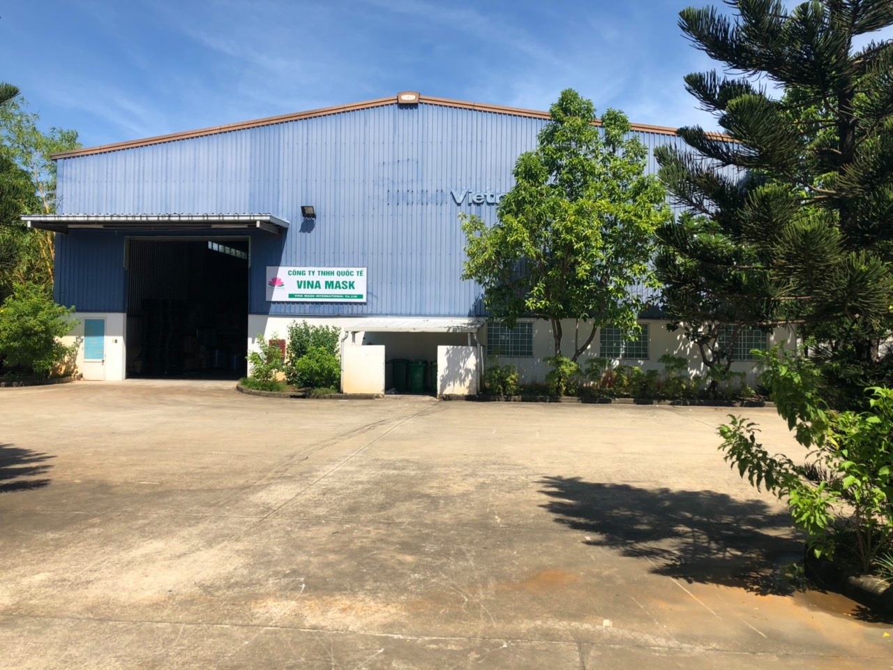 Cover image for Vina Mask