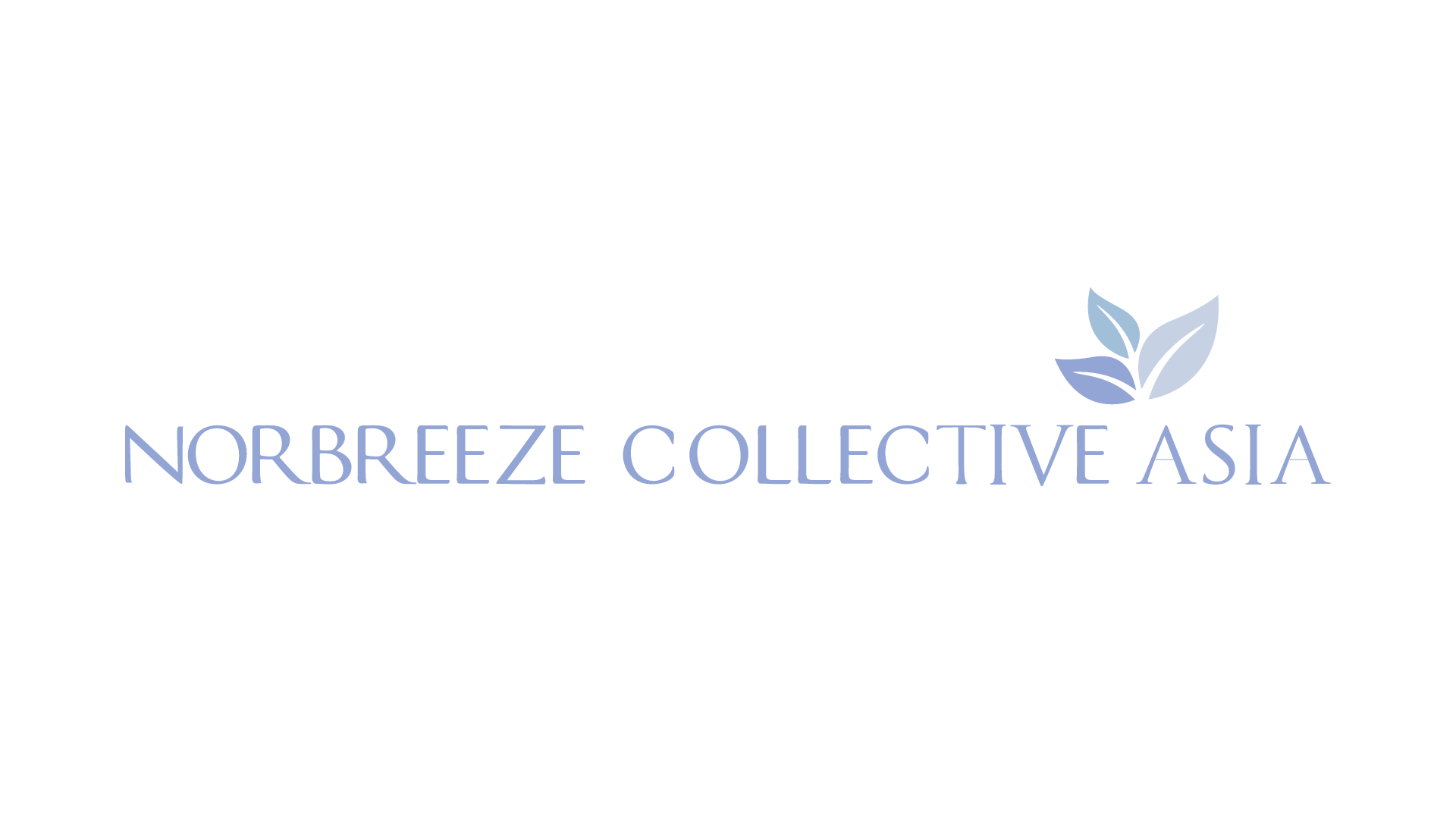 Cover image for Norbreeze Collective Asia