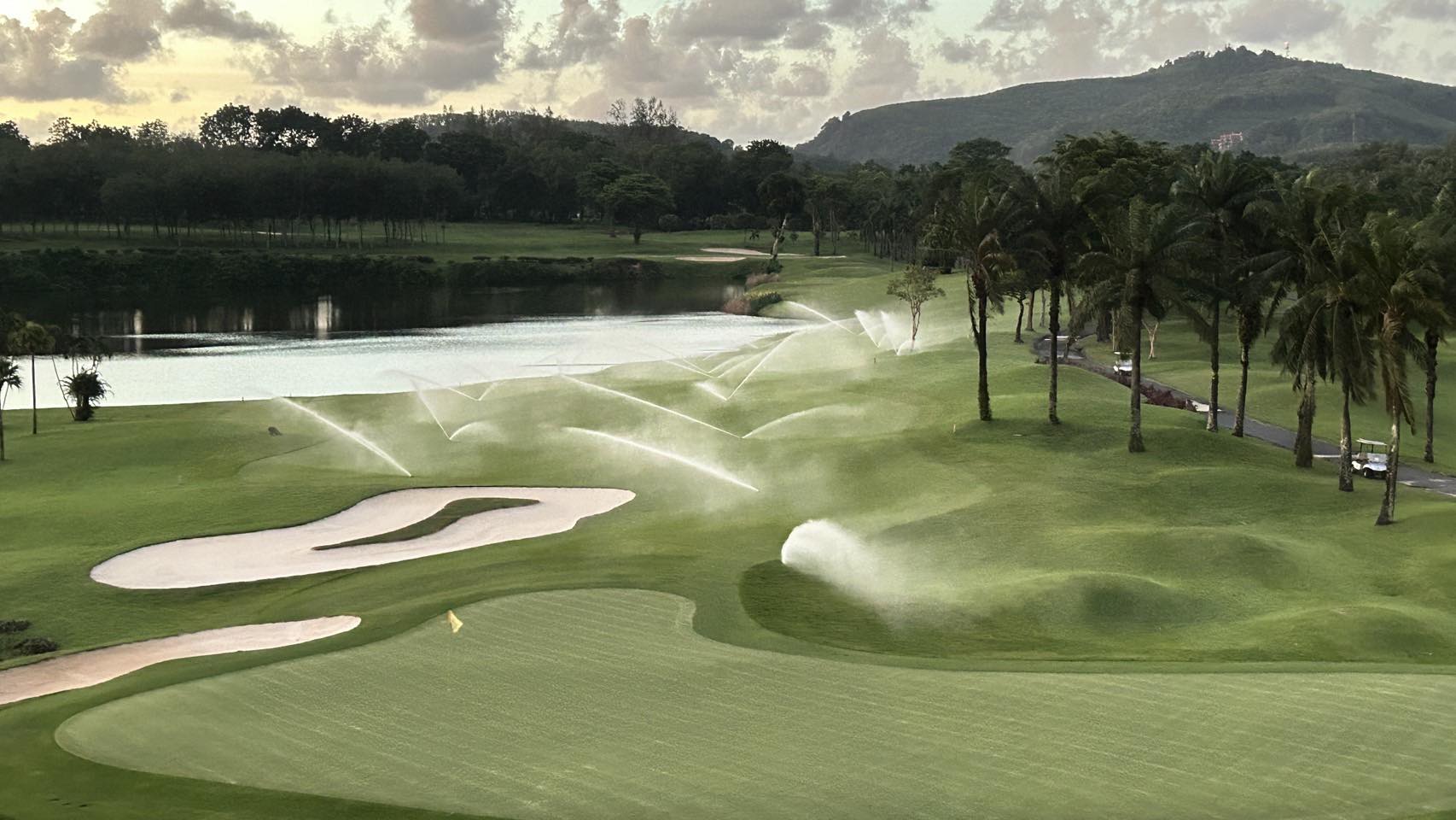 Cover image for Sports Turf Solutions