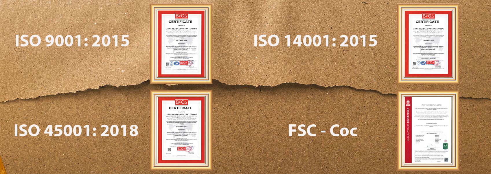 Cover image for CÔNG TY TRẦN THÀNH