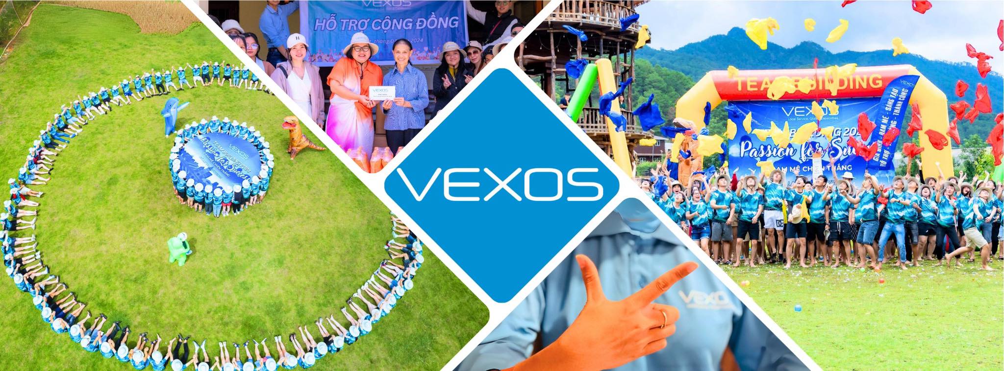 Cover image for VEXOS