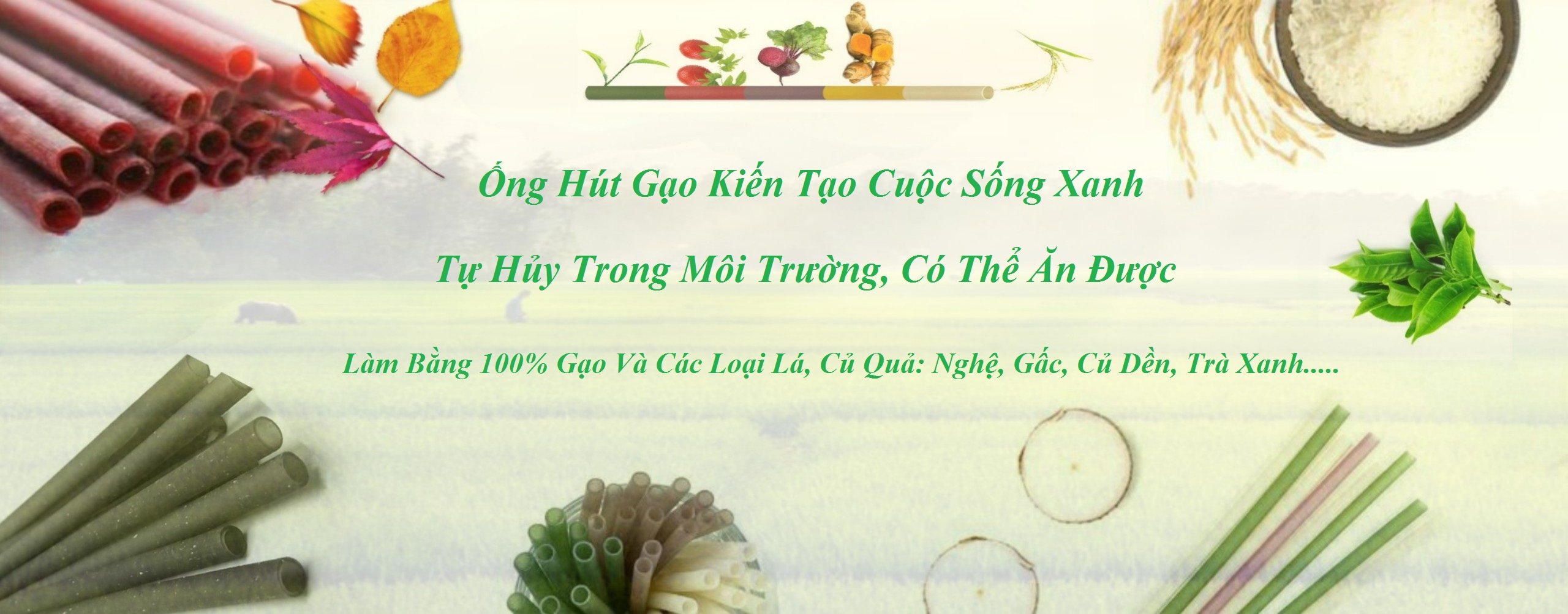 Cover image for Xuất Khẩu ECO Straws Việt Nam