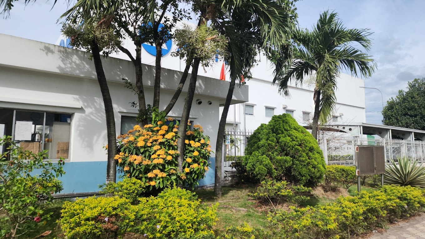 Cover image for Muto Vietnam