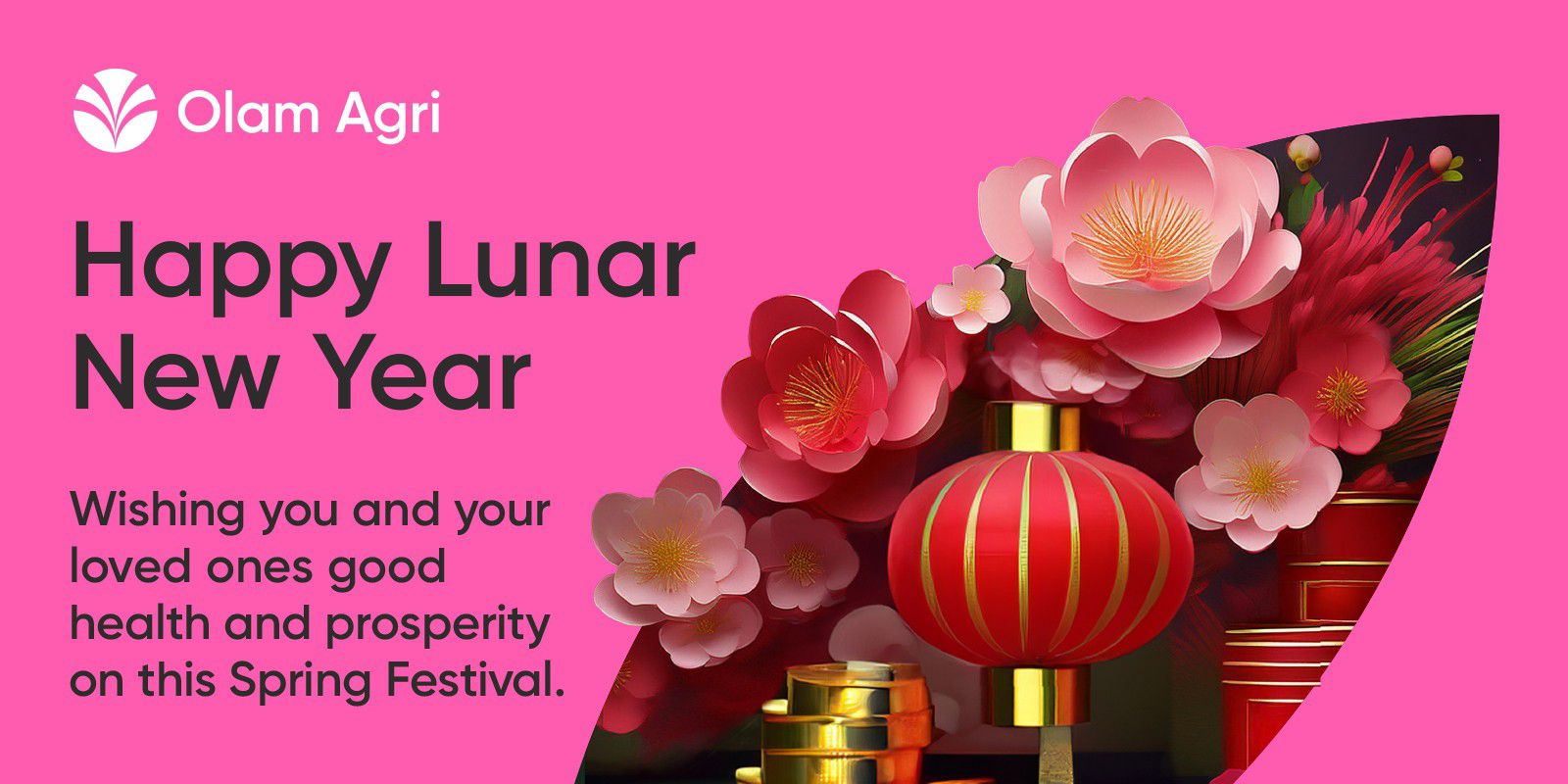 Cover image for Olam Global Agri Việt Nam