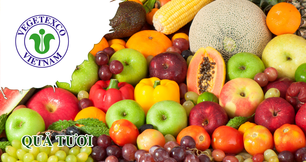 Cover image for VEGETEXCO VIỆT NAM