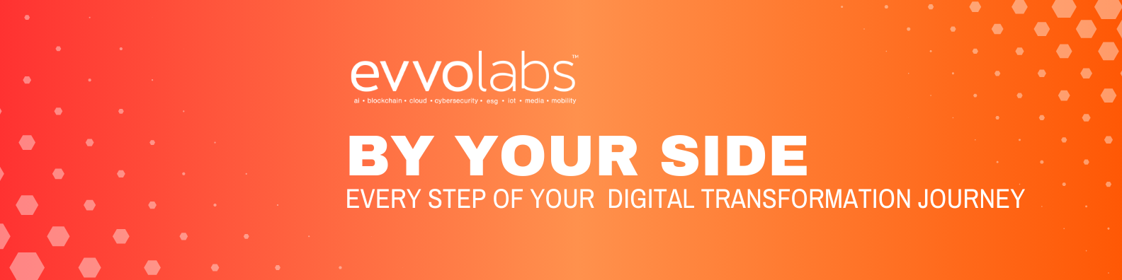 Cover image for Evvo Labs Pte