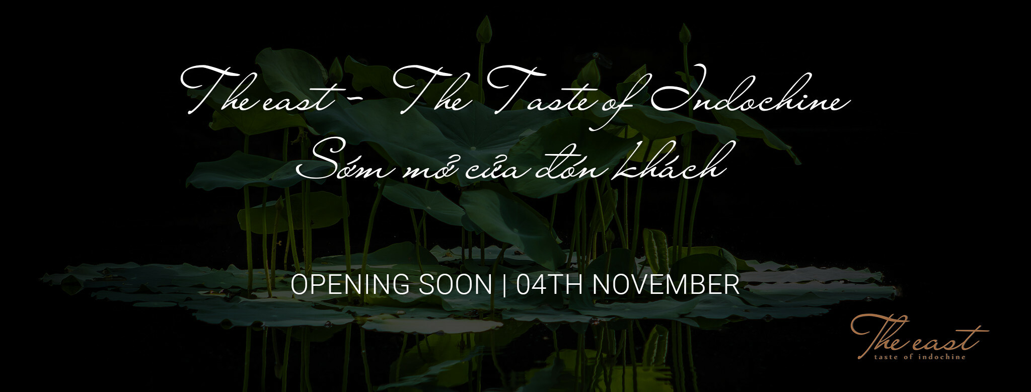 Cover image for THE EAST TONKIN