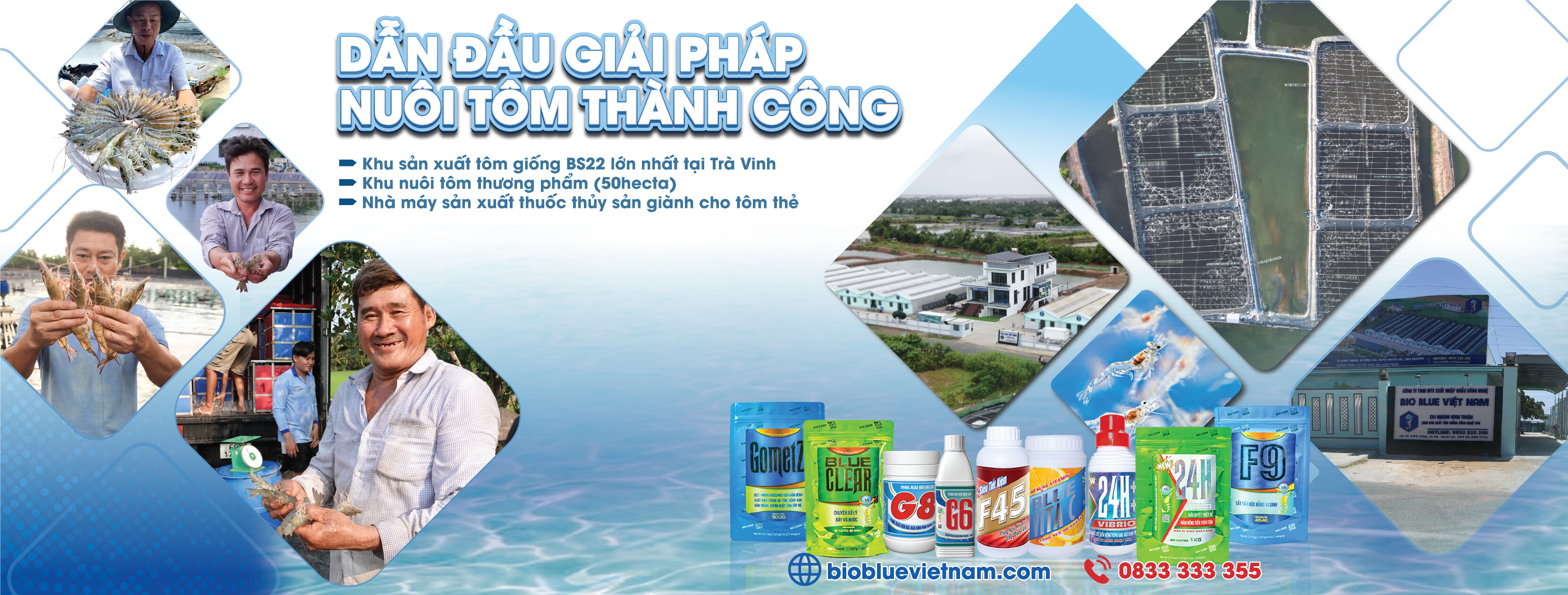 Cover image for Bio Blue Việt Nam