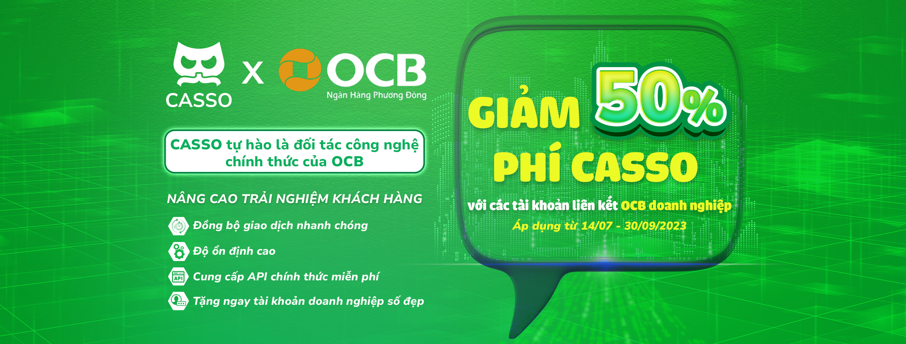 Cover image for CÔNG TY TNHH CASSO