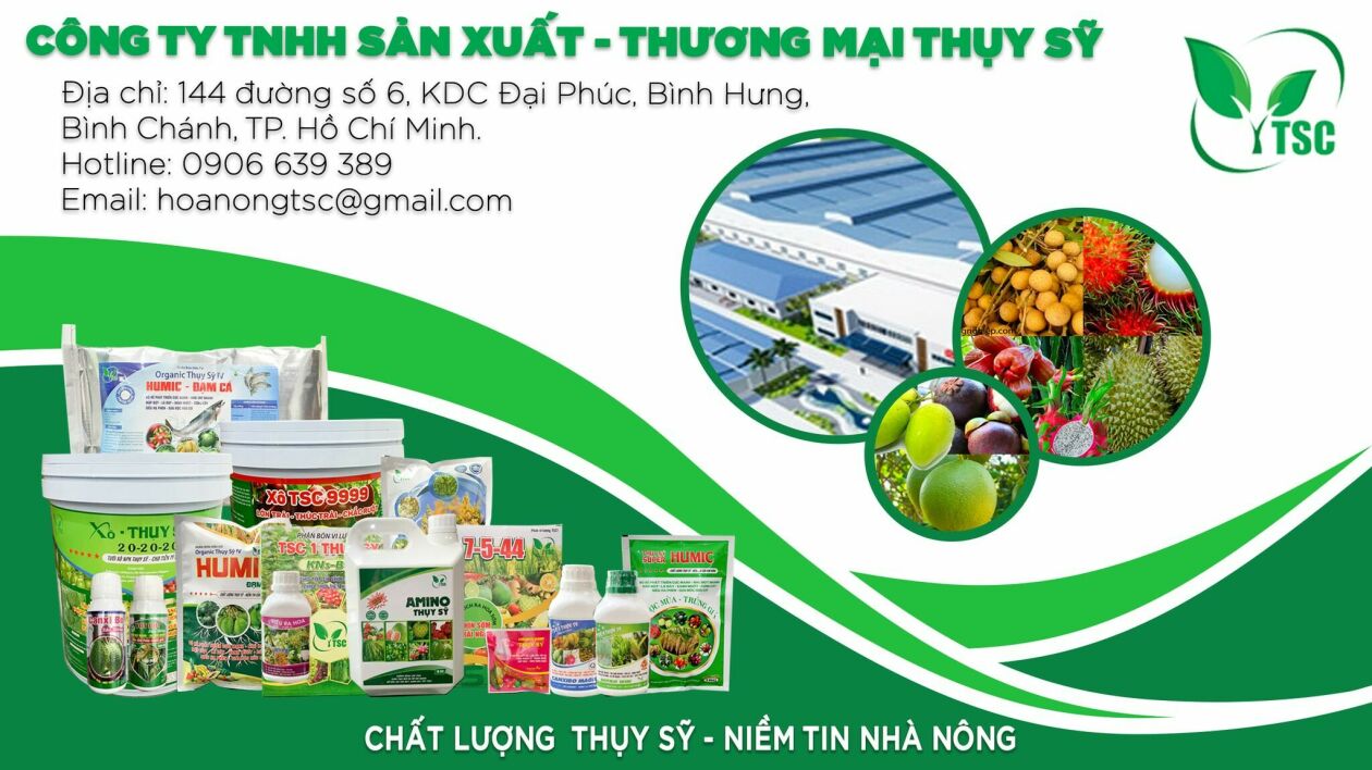 Cover image for Sản Xuất Thương Mại Thụy Sỹ