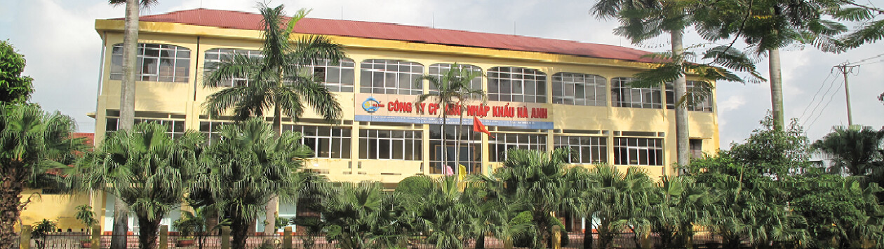 Cover image for Xuất Nhập Khẩu Hà Anh