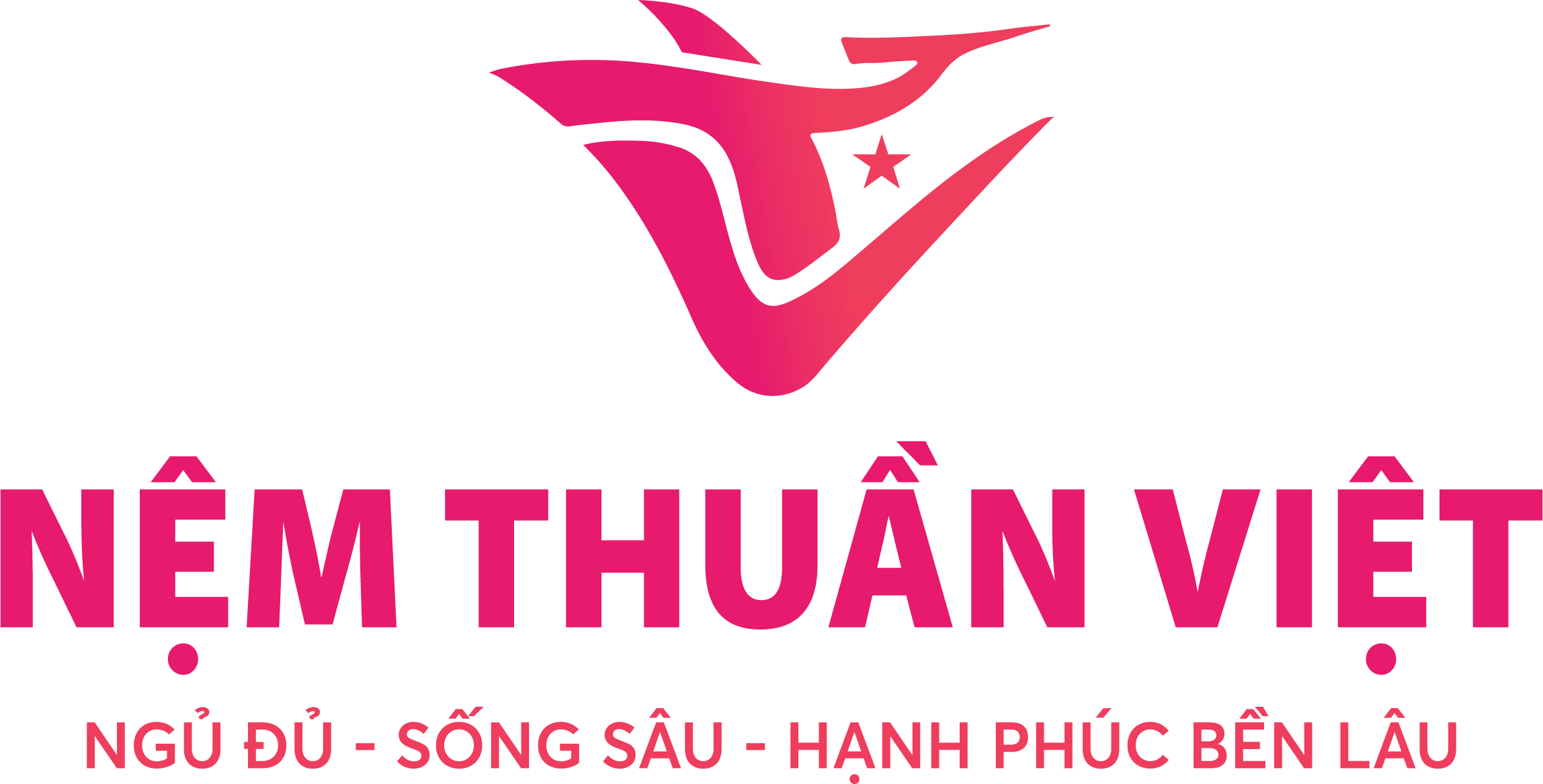 NỆM THUẦN VIỆT
