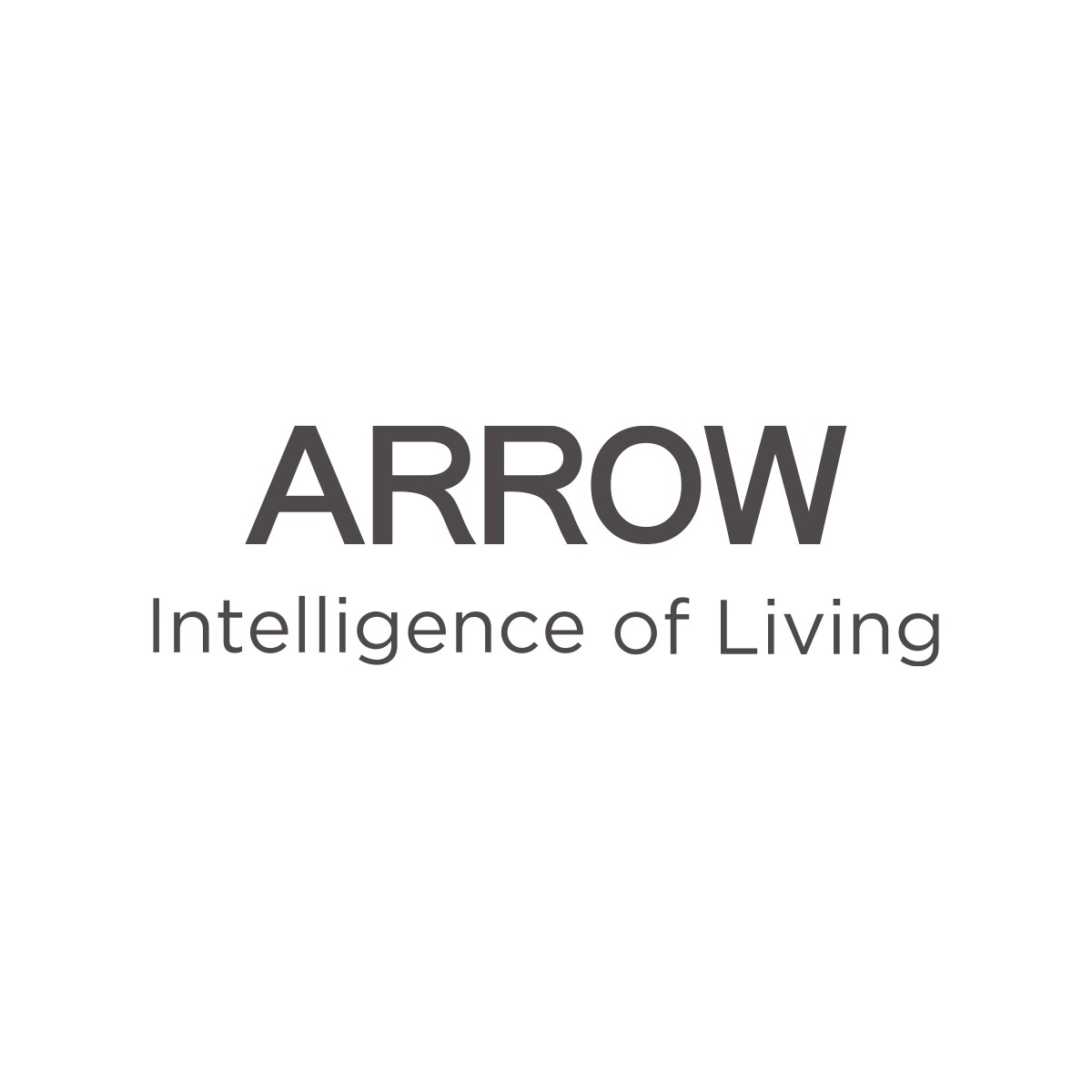 DASH - Arrow Việt Nam