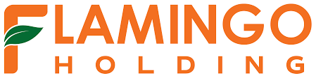 Flamingo Holding Group