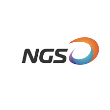 NGS Holdings