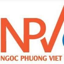 Ngọc Phương Việt