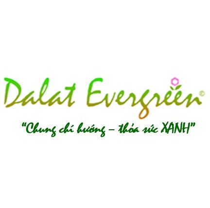 Dalat Evergreen