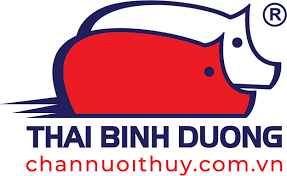DV SX THÁI BÌNH DƯƠNG