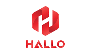 Hallo Việt Nam