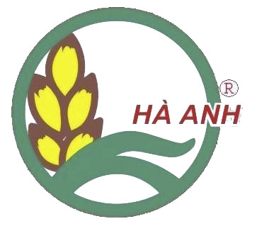 Xuất Nhập Khẩu Hà Anh