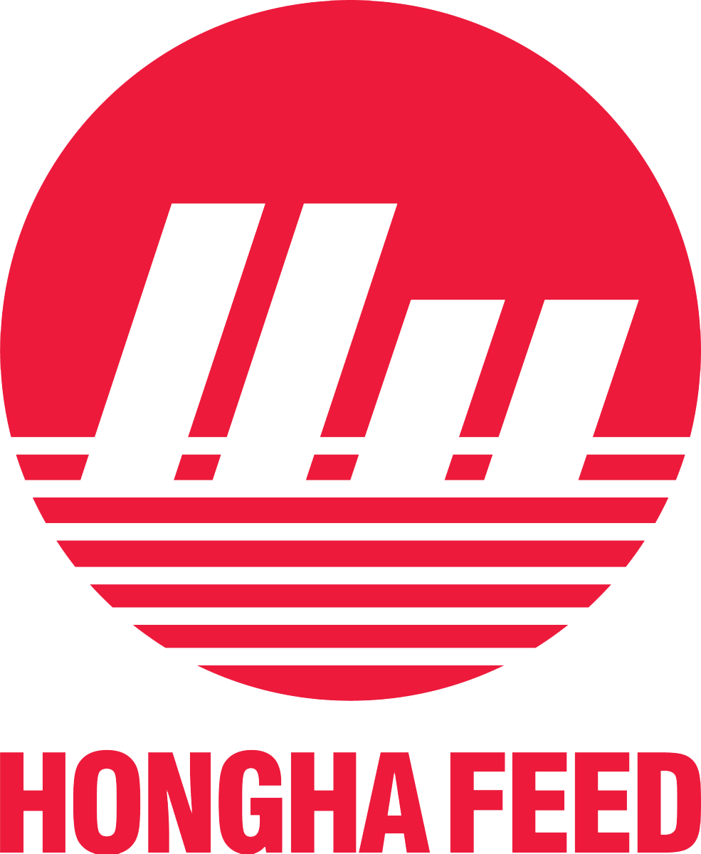 Hồng Hà Bình Định