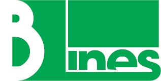 Giao Nhận Vận Tải "B" Lines