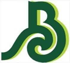 Bảo Lâm Phương - Hadana Boutique Hotel