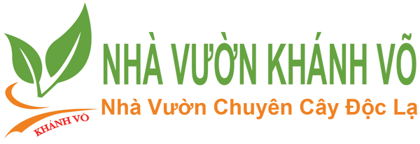 Cây Cảnh Ngoại Nhập Khánh Võ