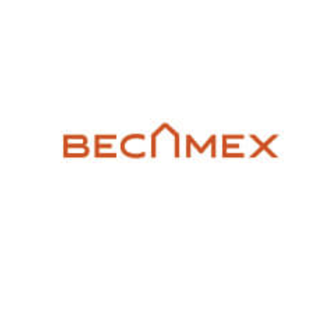 Becamex IDC Corp