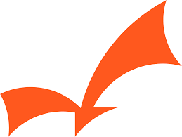 Eagle Nice Việt Nam