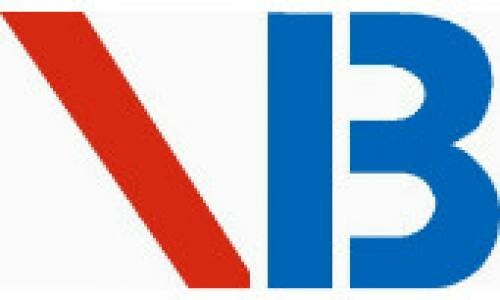 Bingo Vina - Happy Move