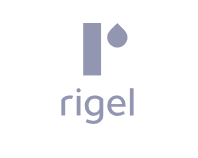 Rigel Technology (Indochina)