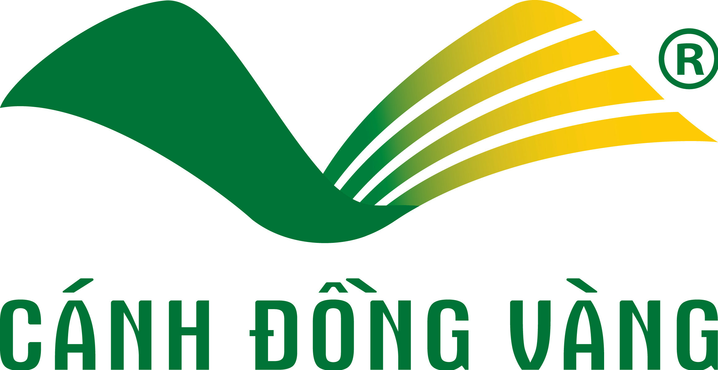 CÁNH ĐỒNG VÀNG