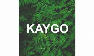 Công Ty Cổ Phần Kaygo