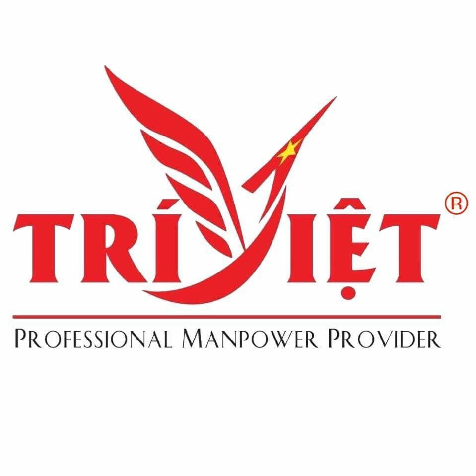 NHÂN LỰC TRÍ VIỆT