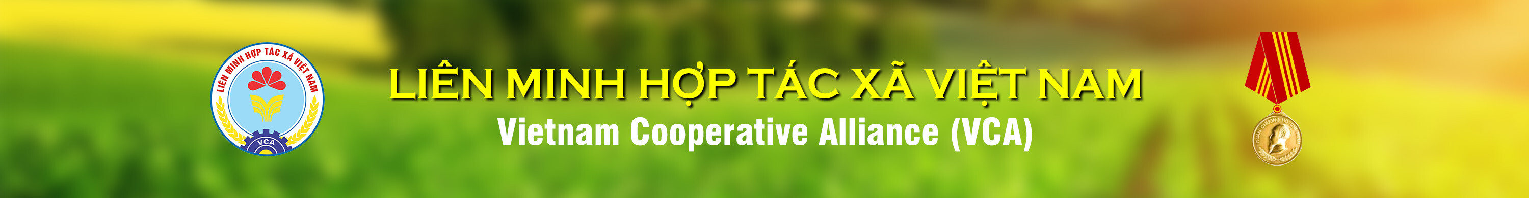 Cơ quan Liên minh Hợp tác xã