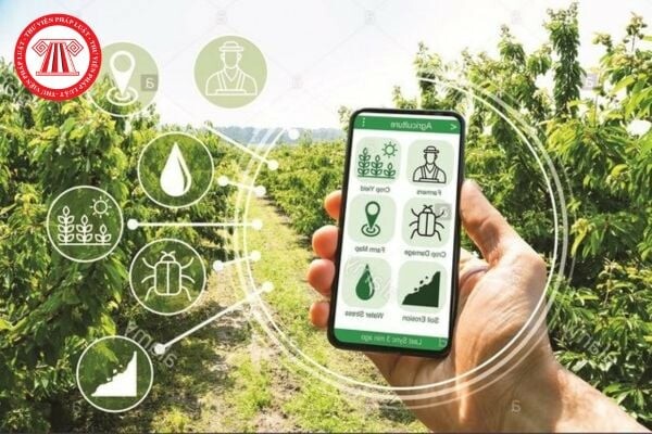 Trung tâm Chuyển đổi số và Thống kê nông nghiệp