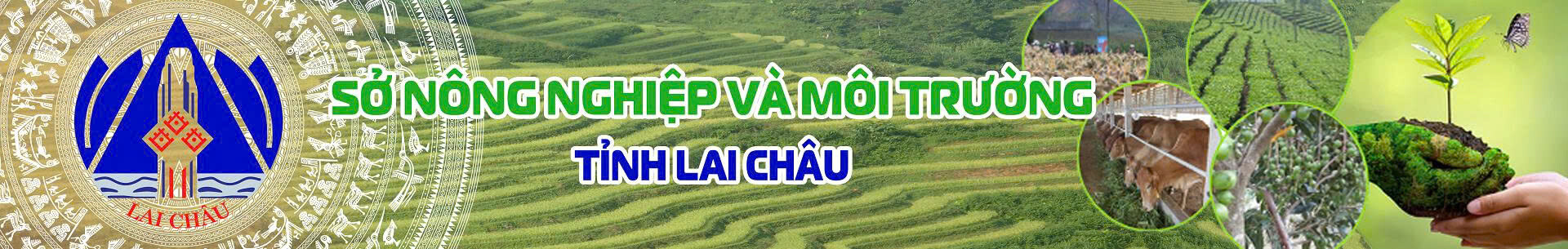 Sở Tài Nguyên Và Môi Trường Lai Châu