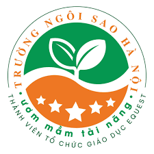 Trường Liên Cấp Tiểu Học & THCS Ngôi Sao Hà Nội