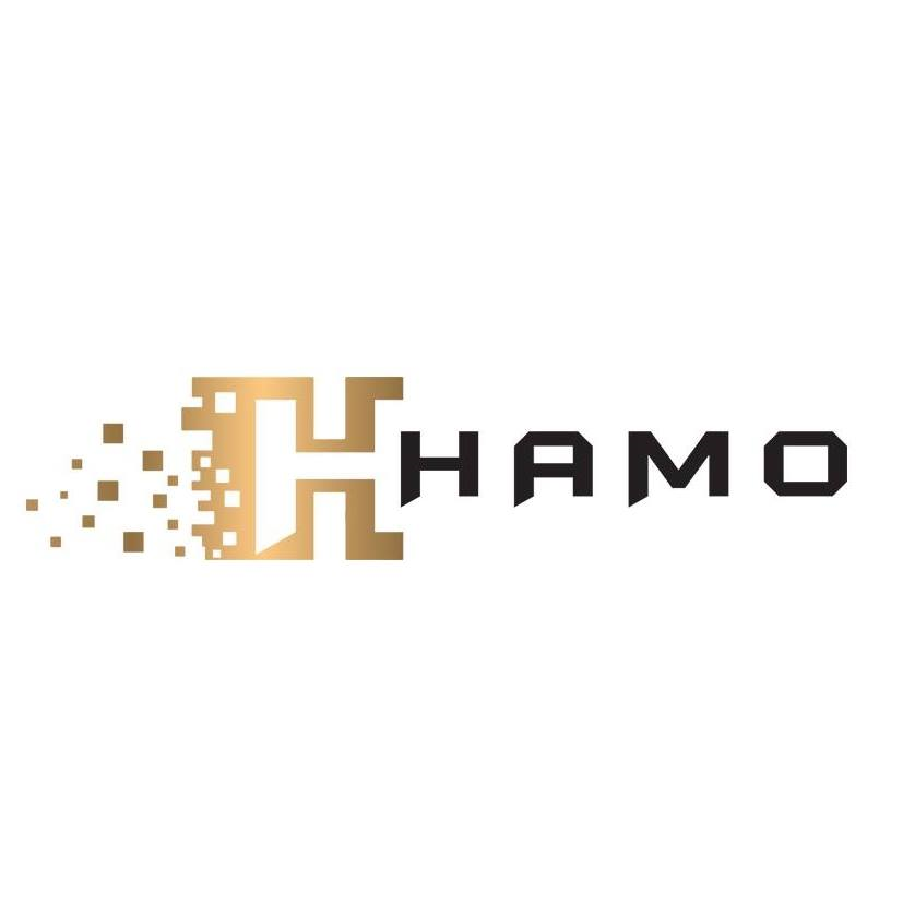 HaMo Holdings