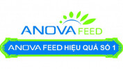 Anova Feed