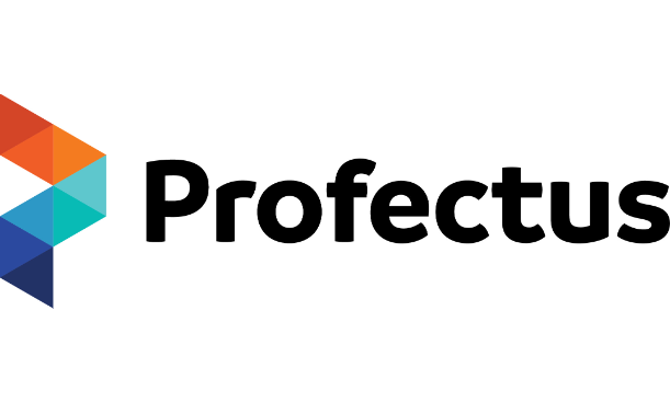 Profectus Vietnam Co. Ltd.