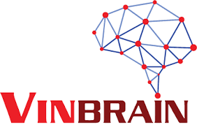 VINBRAIN